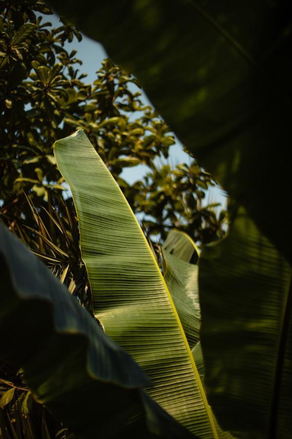 Amaya Boutique Resort Srithanu Buitenkant foto